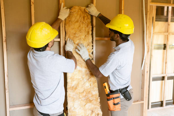 Best Garage Insulation Installation  in Maud, TX